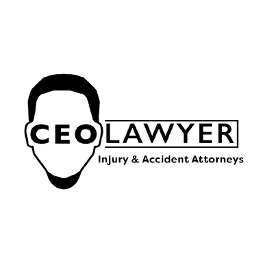 CEO Lawyer